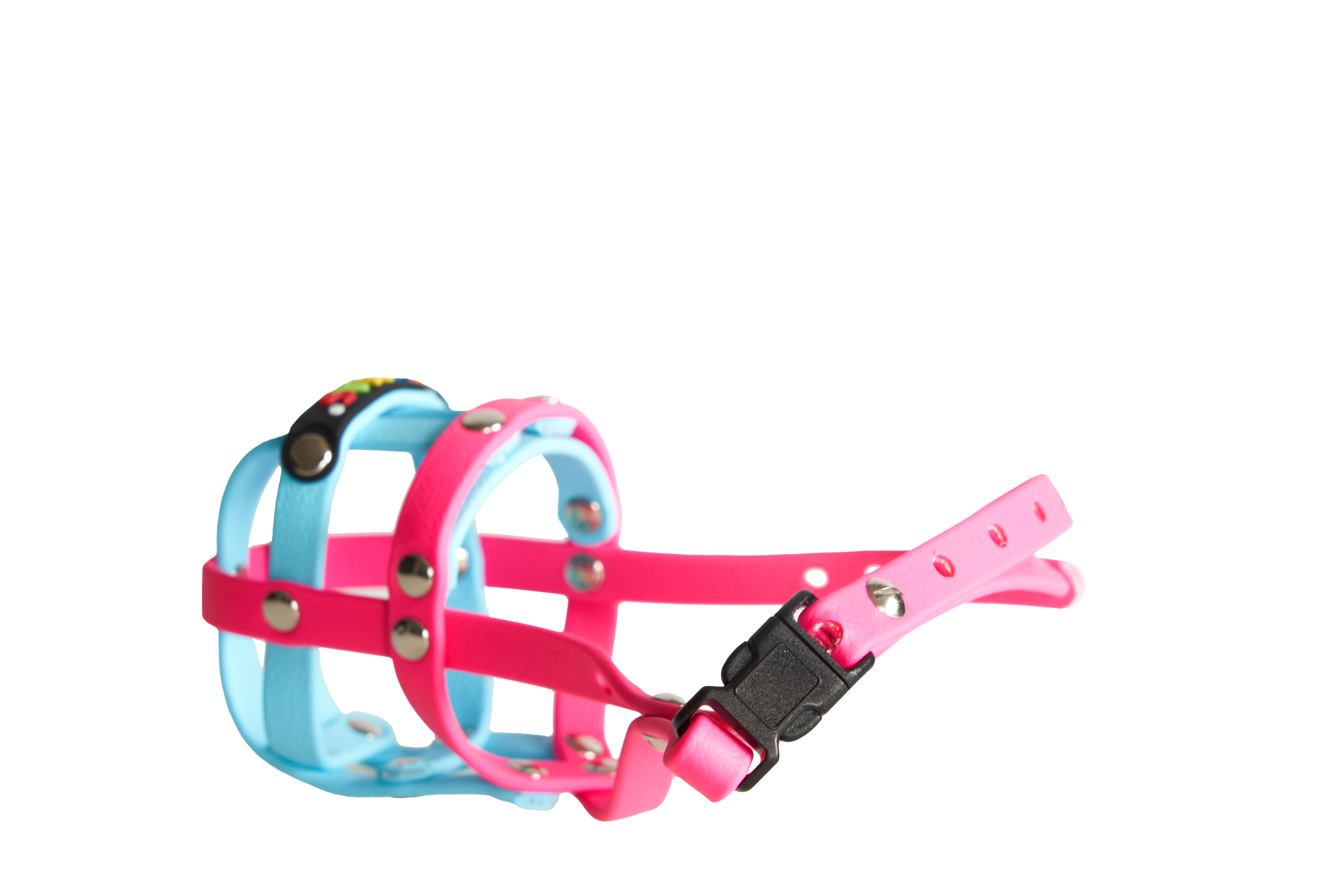 BUMAS Maulkorb aus Biothane Farbe Magenta & Himmelblau