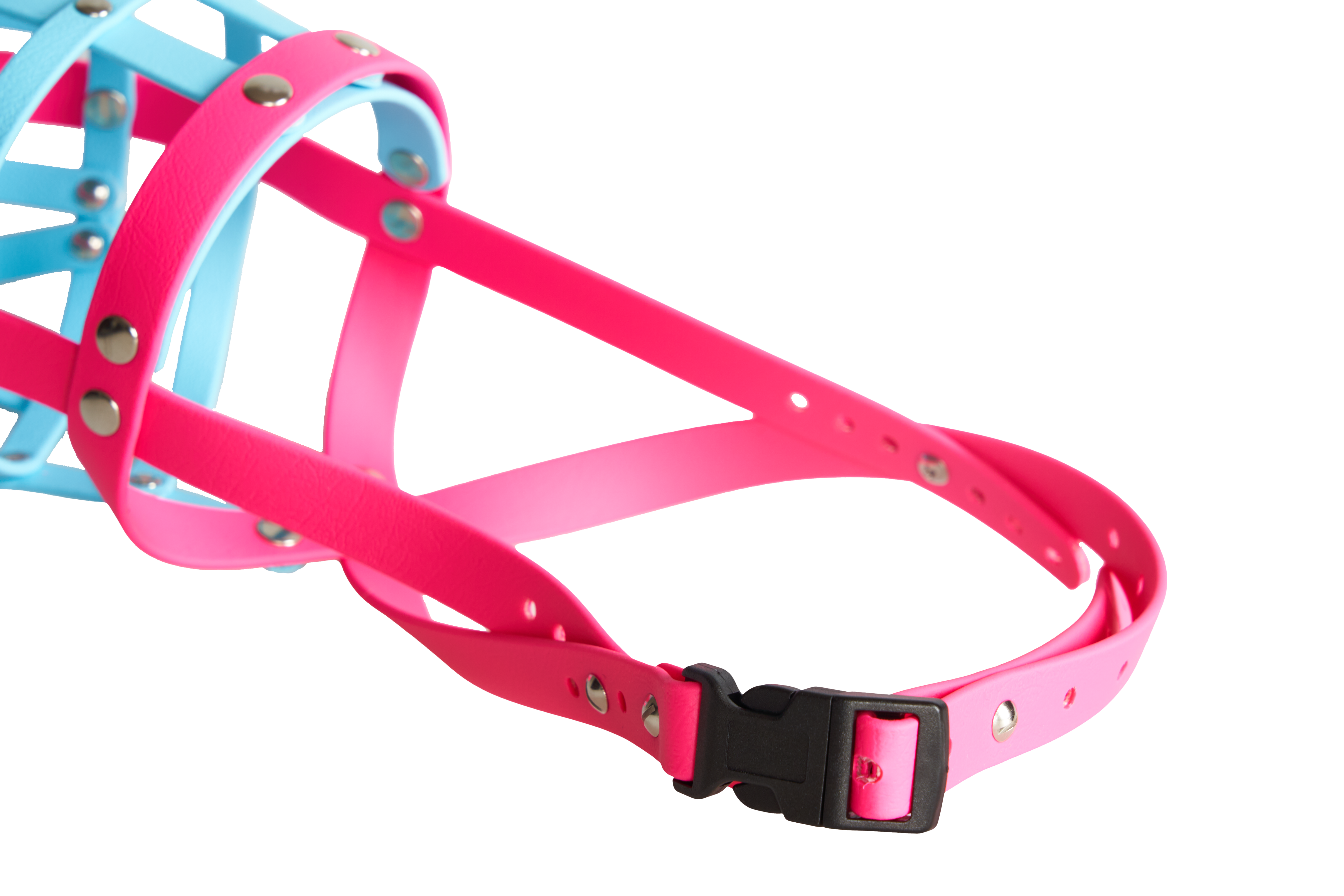 BUMAS Maulkorb aus Biothane Farbe Magenta & Himmelblau