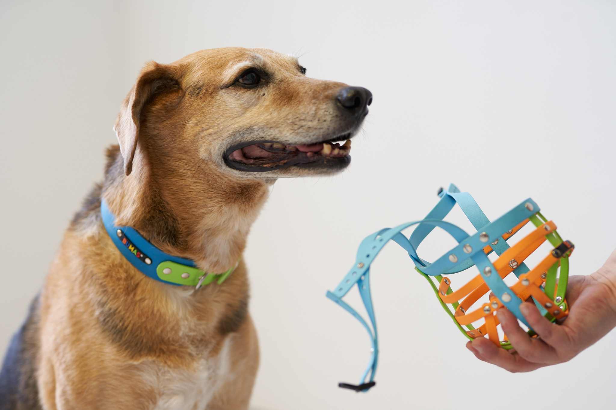 Arbeitsschritte_2023_06_12_BUMAS_888